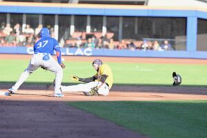 Lee más sobre el artículo Tigres del Licey no volverá a New York