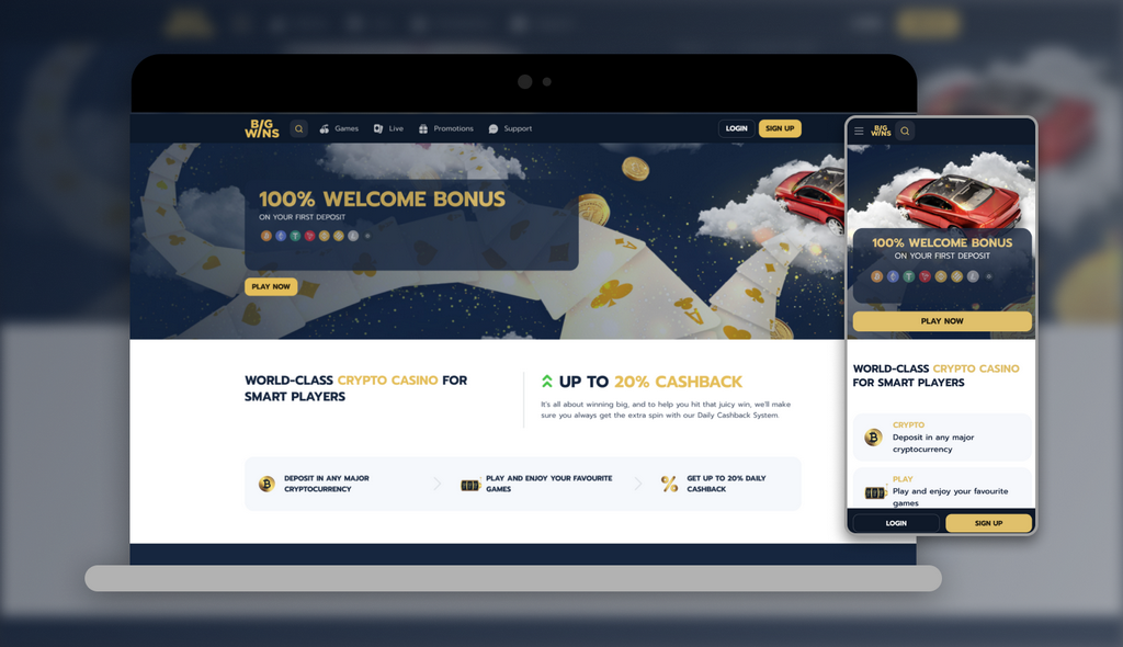 Bigwins Gambling Establishment Review: Complete Review in 2025
